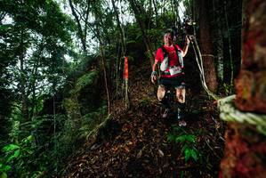 BIB: 
                            <button type="button" onclick="openModal(26198225)" class="btn btn-primary btn-sm float-right btn-popup" data-toggle="modal" data-target=".modal-high-quality">
                        <i class="fas fa-shopping-cart"></i> Add to Cart
                    </button>
                                            <button type="button" onclick="isThisMe(26198225, true)" class="btn btn-success btn-sm float-right btn-popup btn-isme hidden" data-toggle="tooltip" data-placement="bottom" title="นี่คือรูปของคุณใช่ไหม คลิกที่นี่เพื่อเอาเข้าอัลบั้ม">
                        <i class="fas fa-plus"></i> Add to album
                    </button>
                    <button type="button" onclick="isThisMe(26198225, false)" class="btn btn-warning btn-sm float-right btn-popup btn-isnotme hidden">
                        <i class="fas fa-ban"></i> Remove from album
                    </button>